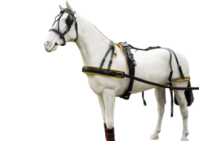 Einspänner-MXL-Geschirr