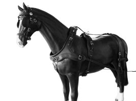 Arden BioThane® Marathonkumt Geschirr