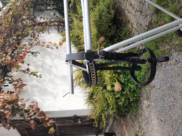 Kopfstück ohne Scheuklappen, G