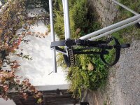 Kopfstück ohne Scheuklappen, G