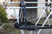 MXL-Brustblatt für Einspänner braun...