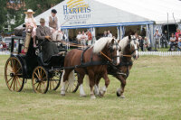 Postgeschirr, 2-Sp, schwarz, G