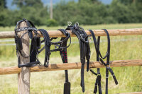 Einspänner-Brustblatt-Geschirr