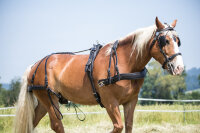 Einspänner-MXL-Geschirr