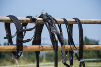 Einspänner-MXL-Geschirr