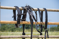 Einspänner-MXL-Geschirr