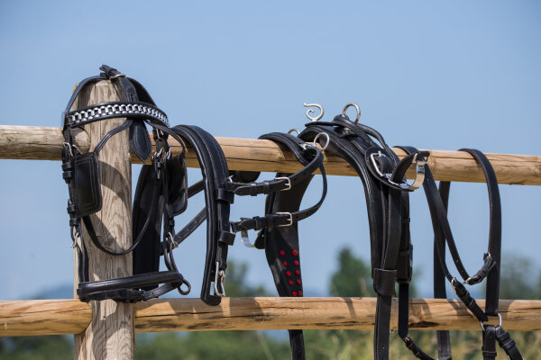 Einspänner-Brustblatt-Geschirr, braun, Großpferd