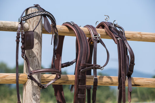 Zweispänner-MXL-Geschirr, schwarz, Full, geschwungen