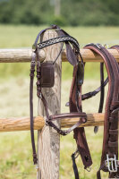 Zweispänner-MXL-Geschirr, schwarz, Full, geschwungen