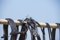 Einspänner-MXL-Geschirr braun Cob geschwungen