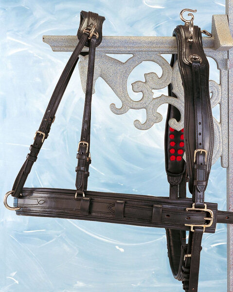 Fine Harness Brustblatt Einspänner geschwungen braun cob