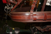 Fine Harness Brustblatt Einspänner geschwungen braun cob