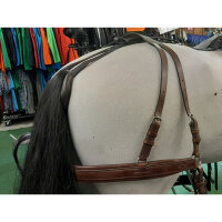 Umgang MXL braun Großpferd