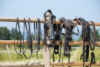 ML Nytech 1.0 Einspänner-Geschirr