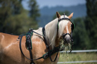 ML Nytech 1.0 Zweispänner-Geschirr