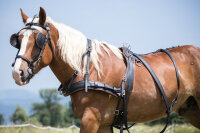 ML Nytech 1.0 Zweispänner-Geschirr