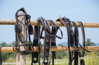 ML Nytech 1.0 Zweispänner-Geschirr