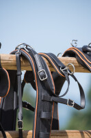 ML Nytech 1.0 Zweispänner-Geschirr