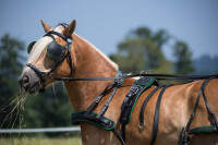 ML Nytech 1.0 Zweispänner-Geschirr