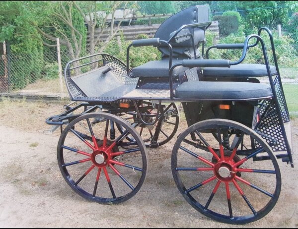 gebrauchter Marathonwagen