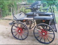 gebrauchter Marathonwagen