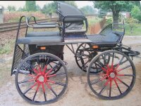 gebrauchter Marathonwagen