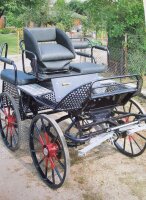 gebrauchter Marathonwagen