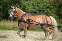 Einspänner Marathonkumt-Geschirr schwarz/orange Großpferd