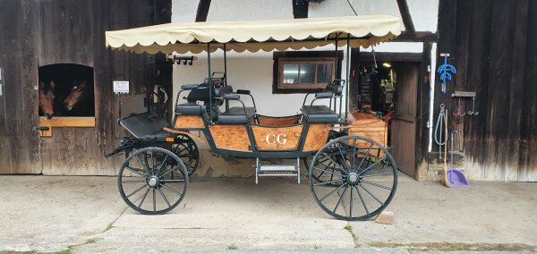 Historische Kutsche 1